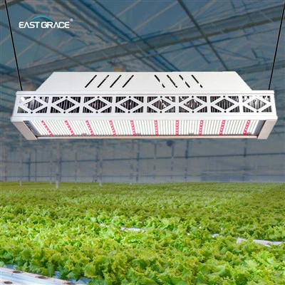 900W LED Tyfu Goleuadau Golau