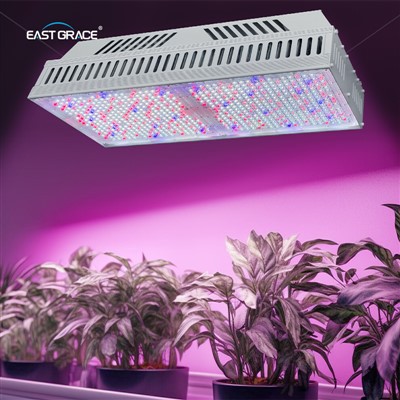 Top1930e LED GROW GOLAU GWYLLT